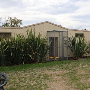Exterior of aviary building, Kārearea Falcon Trust (Blenheim)