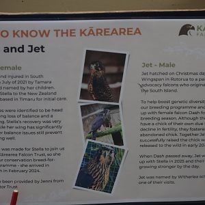 Signage example, Kārearea Falcon Trust (Blenheim)