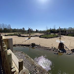 View of mixed savanna