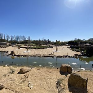 View of the savanna from above the porcupine and bat eared fox house