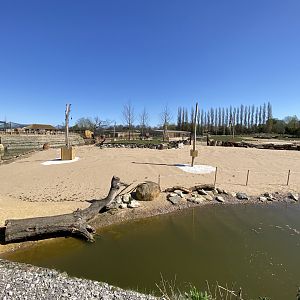 Savanna view next to giraffe house