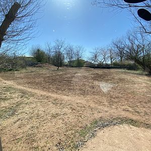 2nd view of African wild dog enclosure