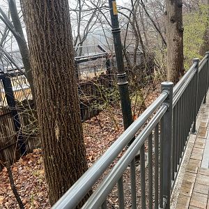 The fencing of the long-tailed goral enclosure