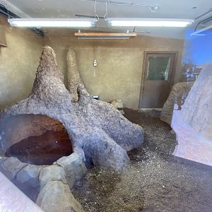 Indoor aardvark enclosure
