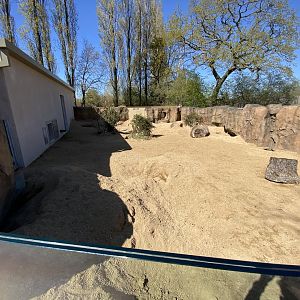 Outdoor aardvark enclosure