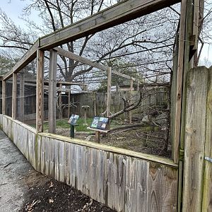 Kookaburra & Tawny Frogmouth Exhibit