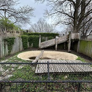 American Alligator Exhibit