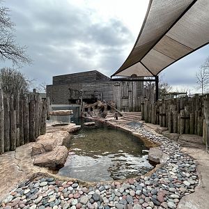 Humboldt Penguin Exhibit