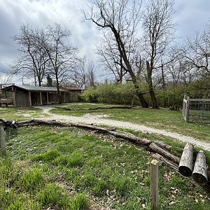 Plains Zebra Exhibit