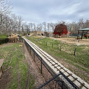 Cheetah Exhibit + Bactrian Camel Exhibit