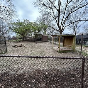 Bennett’s Wallaby Exhibit