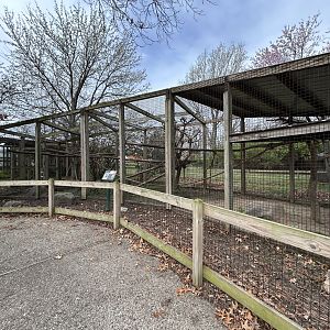 Spider Monkey Exhibit