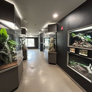Herpaquarium Overview