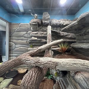 Argus Monitor Exhibit