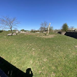 Black rhino enclosure