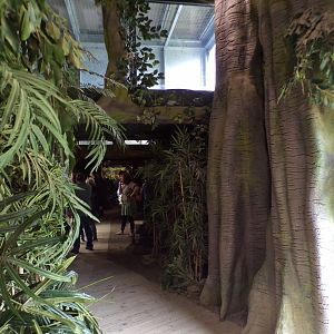 View inside Chimpanzee Eden 7.7.24