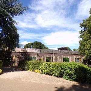 Amur leopard enclosure 7.7.24