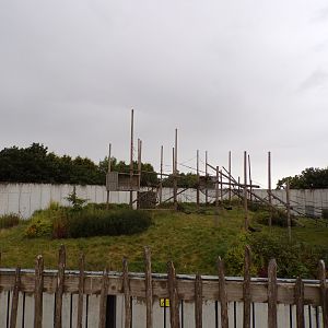 Chimpanzee enclosure 7.7.24
