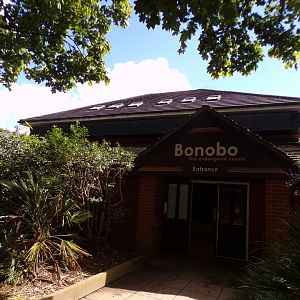 Bonobo house entrance 7.7.24