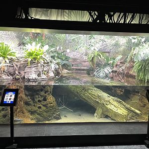 10/15/2024 - Low Water Season: River's Edge 2