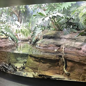 10/15/2024 - Low Water Season: River's Edge