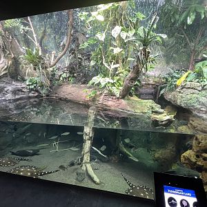 10/15/2024 - Floodplain Lake