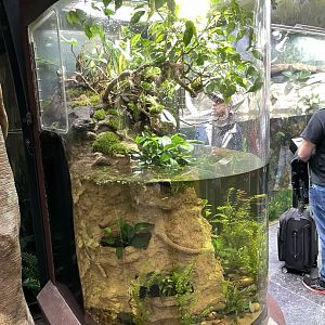 10/15/24 - High Water