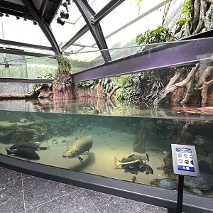 10/15/24 - River Giants