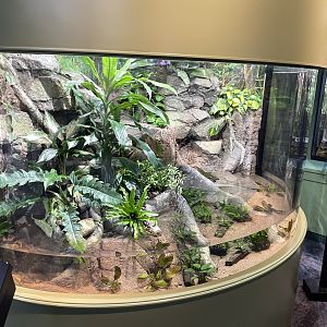 10/15/24 - Shallow Pool