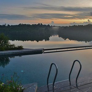 Mandai Rainforest Resort - Rooftop swimming pool