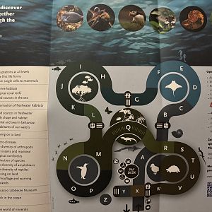 Aquarium Map - November 2023