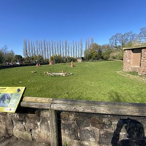 Mixed South American enclosure