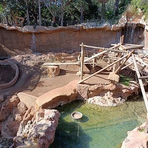 Orangutan and siamang exhibit