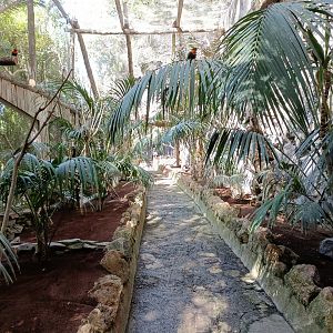 Walkthrough aviary
