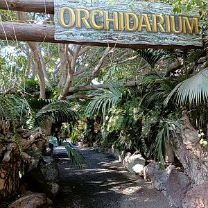 Orchidarium