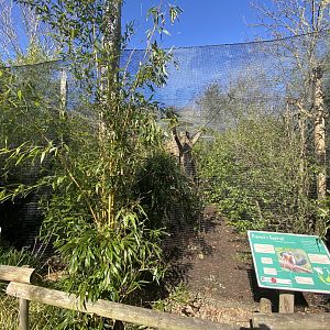 Provost’s squirrel enclosure