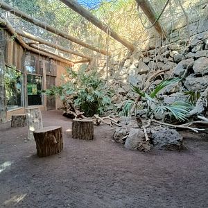 Second Ring-tailed lemur exhibit