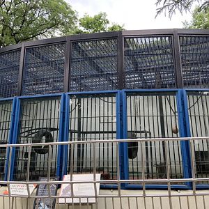 Chimpanzee enclosure