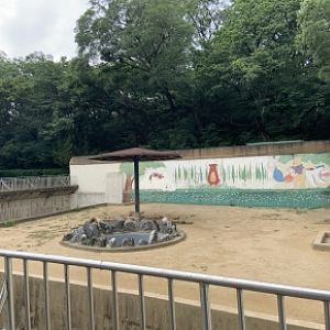 Ussuri brown bear enclosure