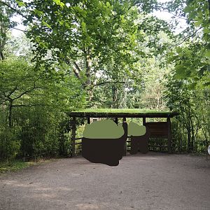 Woolly monkey island viewing area, 2024-08-18