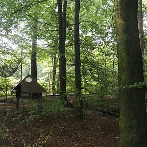 View in the Bolivian squirrel monkey forest, 2024-08-18