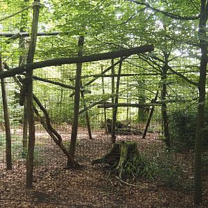 View in the Bolivian squirrel monkey forest, 2024-08-18