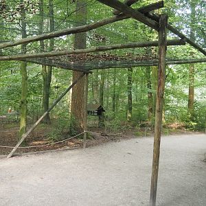 View in the Bolivian squirrel monkey forest with part of covered visitor area from covid era, 2024-08-18
