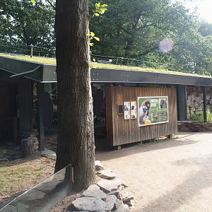 Silvery marmoset, Golden-headed lion tamarin, White-faced saki, Coppery titi and red-footed tortoise house, 2024-08-18