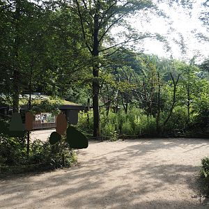 Silvery marmoset, Golden-headed lion tamarin, White-faced saki and Coppery titi walk-through area, 2024-08-18