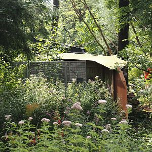 Backside of the Silvery marmoset, Golden-headed lion tamarin, White-faced saki, Coppery titi and Red-footed tortoise house, 2024-08-18