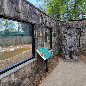 Apr. 2025 - Corcovado Jungle - Capybara/Muscovy Duck Exhibit Viewing