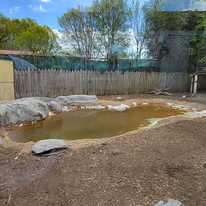 Apr. 2025 - Corcovado Jungle - Capybara/Muscovy Duck Exhibit