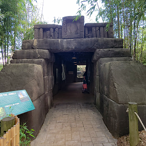 Apr. 2025 - Corcovado Jungle - Temple