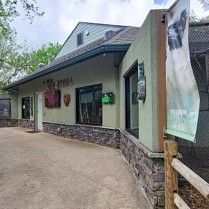 Apr. 2025 - Corcovado Jungle - La Selva Amazonica - Pied Tamarin Indoor & Outdoor Exhibits